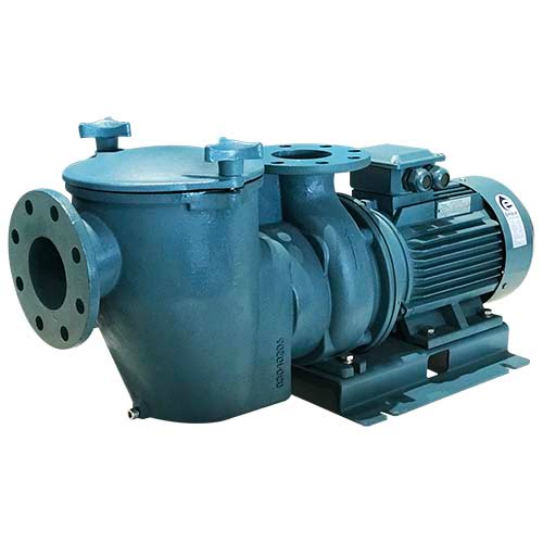 1 EMAUX SE10 Swimming Pool Pump